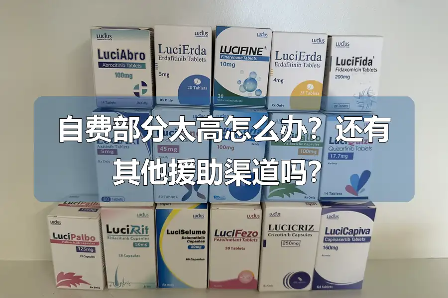 自费部分太高怎么办？还有其他援助渠道吗？